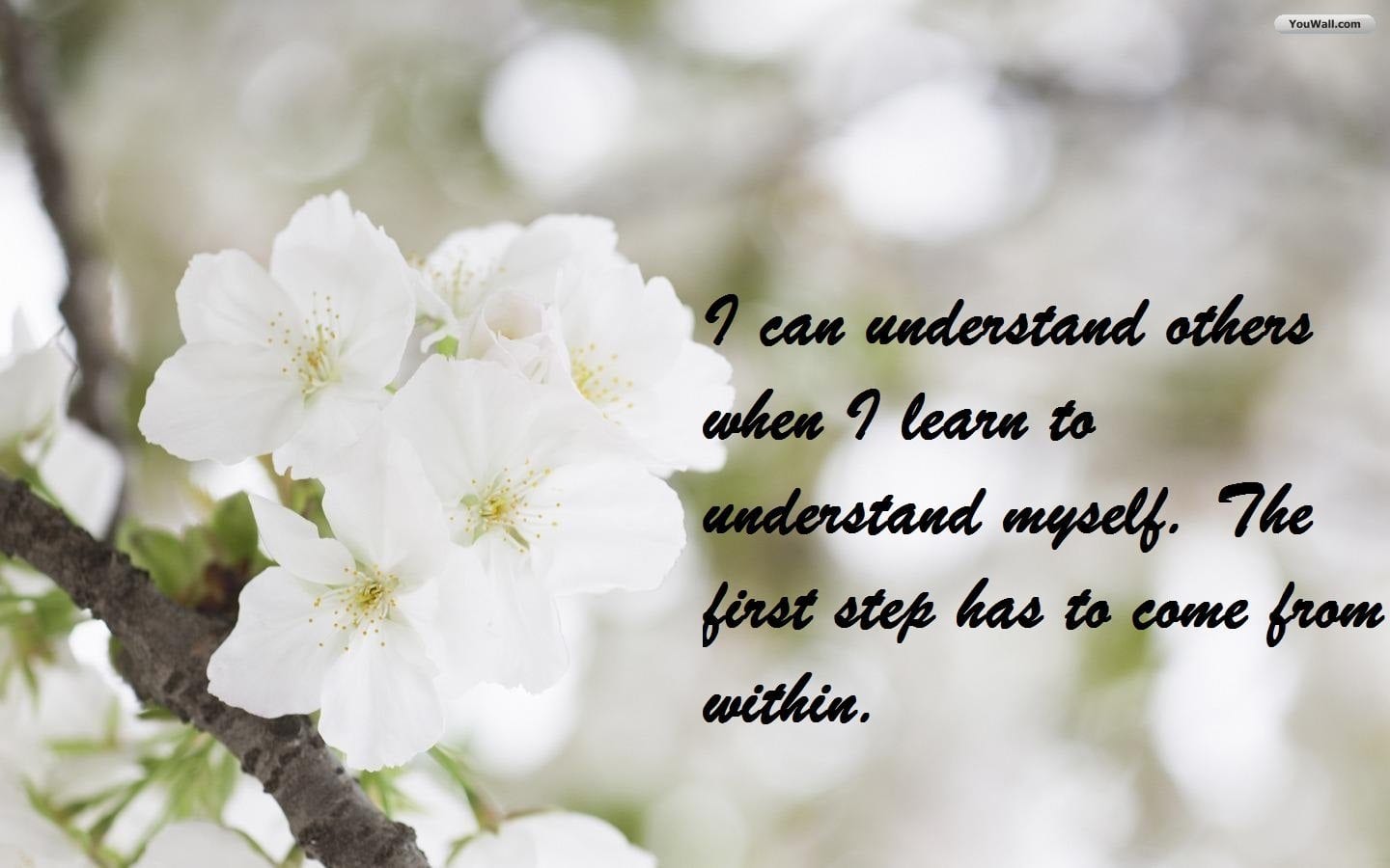 I can understand others when I learn to understand myself the first step has to come from within